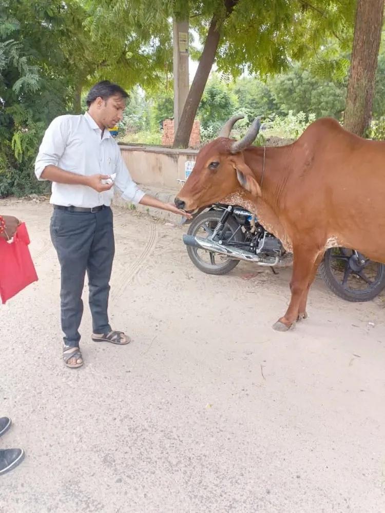 Compassionate Cattle & Dog Care Camp